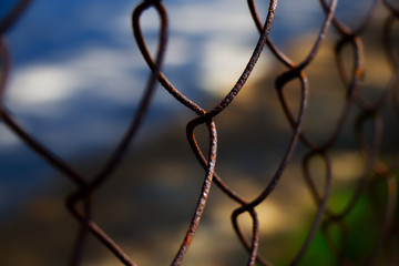 Zardzewiała, metalowa siatka. © MaHubert