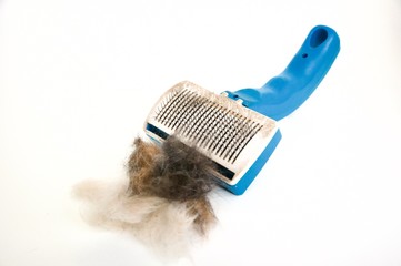 Fototapeta premium Cat plastic brush with cat hair clump on side. Wire bristle grooming brush. Fur stuck to comb. Brush out knots and remove middle, under or winter coat. Long hair cat maintenance. Isolated on white.