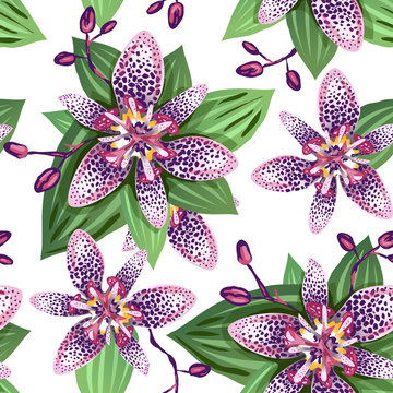Tropical seamless floral pattern