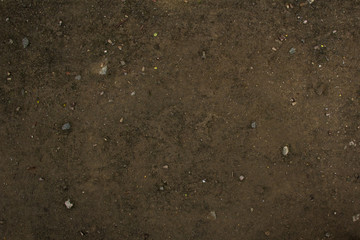 The surface of the soil, 
dark dry red earth