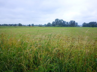 Natura. Lubuskie. Polska