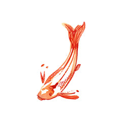 gold fish - poissons rouges - carpes koi