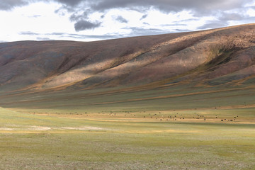 Typical landscapes of Mongolia. mountain slopes and valleys. Altai, Mongolia