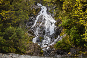 A small waterfall among the greenery. South Island, New Zealand