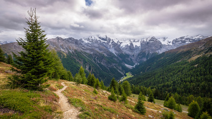 Fototapeta na wymiar In the valley Val venosta (German: Vinschgau) in the region Alto Adige (German: Südtirol) and near the Stelvio Pass connecting Italy with Switzerland, there are gorgeous mountain like the Ortler Group