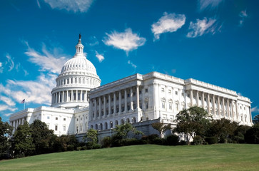 Obraz premium Washington DC, US Capitol Building 