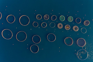 Fish farm with floating cages in Chalkidiki, Greece