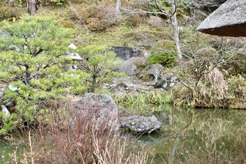 The view of Japanese garden in Kyoto.