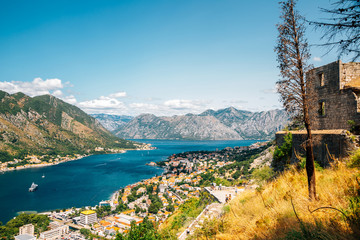 Bay of Kotor, old city and mountains panorama view in Montenegro