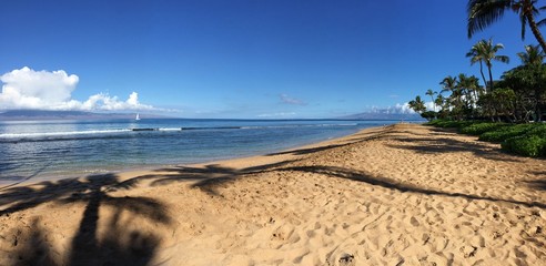Maui Beach