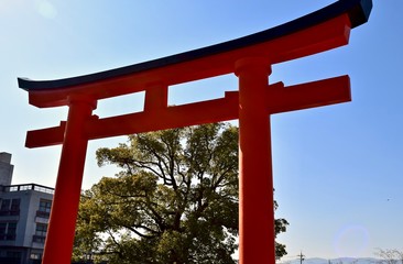Fototapeta premium 伏見稲荷の鳥居の裏側