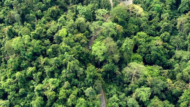 Slow motion and following video of car running on the road in rainforest. Aerial view of Asia forest. Flight over jungle by Drone. Transportation and Environment Concept.