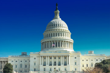 Obraz premium Washington DC, US Capitol Building 
