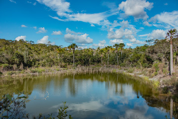 Paisagem com lagoa. Beautiful landscape with pond and sky with clouds.