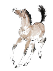 Oriental style painting of a standing foal. Traditional chinese ink and wash painting isolated on white background. Original watercolor stock illustration of  horse.