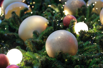Bokeh lights background. Abstract multicolored light.Christmas concept. Blur lights background. Christmas tree with lights.