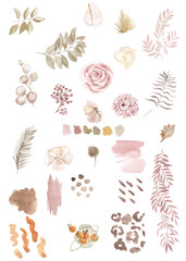 set of watercolor leaves and pale flowers pastel palette