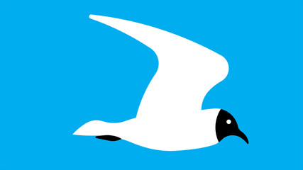 Silhouette of a seagull in the sky. Vector illustration of a flying bird.
