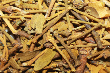  THE TEXTURE OF THE FRUIT SHOOTS OF THE MISTLETOE DRUG