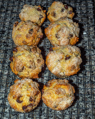 Homemade Chocolate Chip Muffins