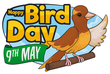 Happy Canary Reminding at you Bird Day in May, Vector Illustration