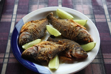 Cooked delicious wild Piranha with lemon on table in Amazon rainforest, Brazil