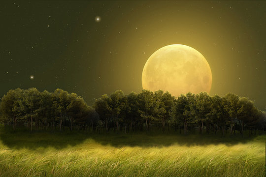 Fantasy yellow moon and trees in the meadow