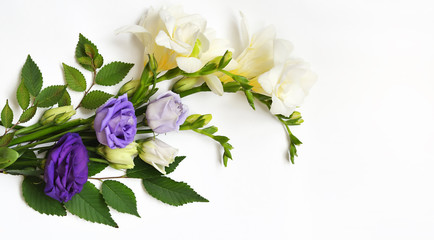 Flowers composition on white background