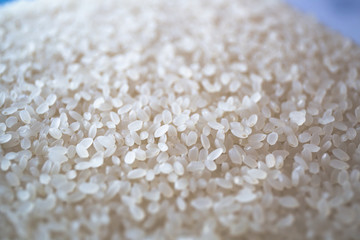 Japanese Rice　お米