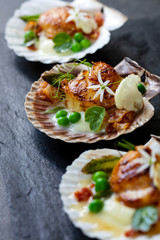 Scallops with cauliflower puree, pancetta, green peas and micro herbs