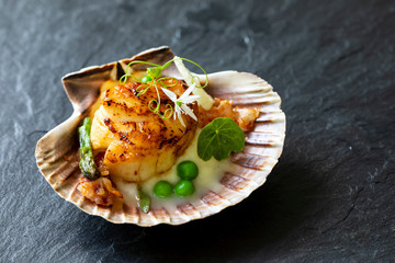 Scallops with cauliflower puree, pancetta, green peas and micro herbs