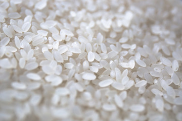 Japanese Rice　お米