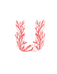 Fototapeta na wymiar Letter U pink colored seaweeds underwater ocean plant sea coral elements flat vector illustration on white background