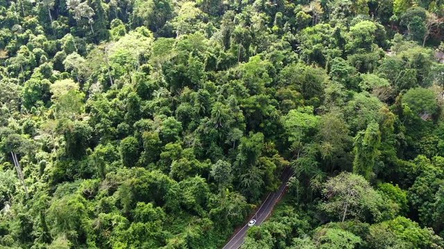 Slow motion and following video of car running on the road into rainforest. Aerial view of Asia forest. Flight over jungle by Drone. Transportation and Environment Concept.