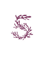 Obraz premium Number 5 purple colored seaweeds underwater ocean plant sea coral elements flat vector illustration on white background