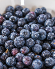 Fresh blueberries in a white bowl on a wooden table. 5x4.