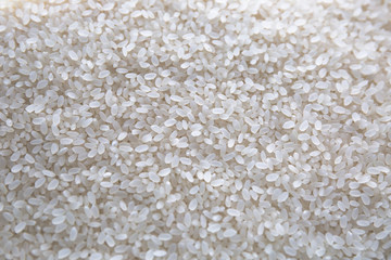 Japanese Rice　お米