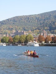 Rowing in Heidelberg, Germany