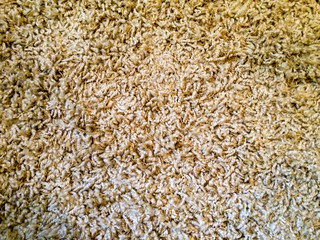 Close up of carpet fibers for modern design background