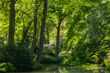 Fototapeta na wymiar Pond, trees and green grass in a public park.