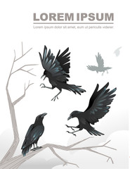 Group of black crows a dead tree branch advertising flyer design cartoon animal style flat vector illustration on white background