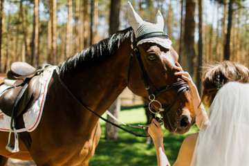 Fototapeta premium The bride is stroking the horse. View from the back. Focus on the horse's eyes.