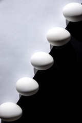 chicken eggs on a black and white background