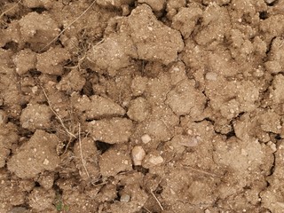 Suelo de tierra y sequia