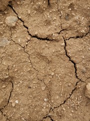 Suelo de tierra y sequia