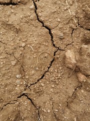 Suelo de tierra y sequia