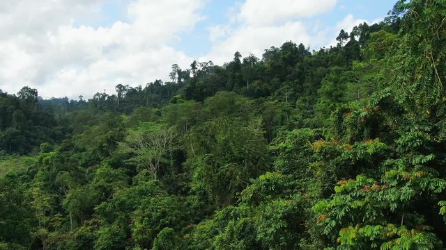 Slow motion dolly in of Aerial view of Asia rainforest. Flight over the jungle by Drone. Day time with clouds and blue sky.