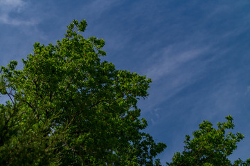 Cielo e nuvole in una giornata di primavera