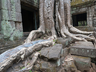 Fototapeta na wymiar カンボジアのアンコールワット遺跡周辺