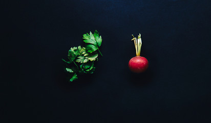Flat lay top view of fresh colorful a samll red radish and parsley over dark rustic background with vibrant colours, copy space